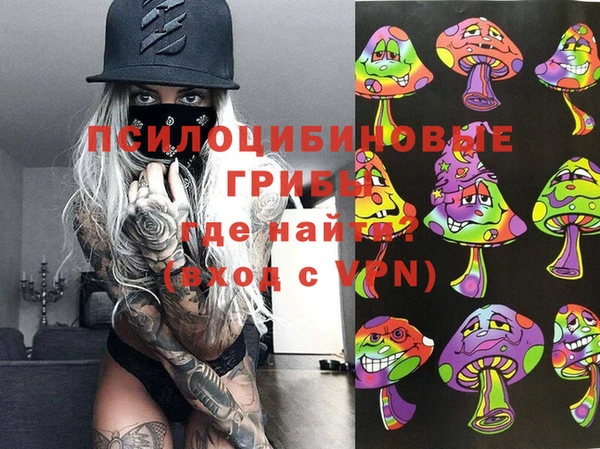 spice Армянск