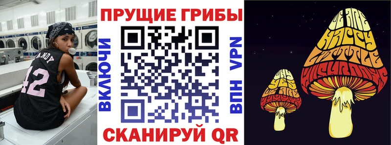 ссылка на мегу ссылка  даркнет сайт  Ясногорск  Псилоцибиновые грибы Magic Shrooms 